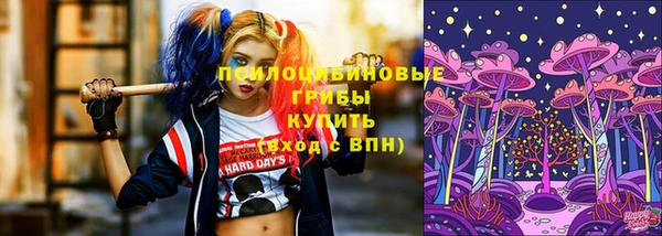 гидра Алексин